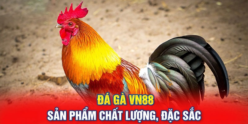 Khám phá sơ lược về sảnh đá gà VN88