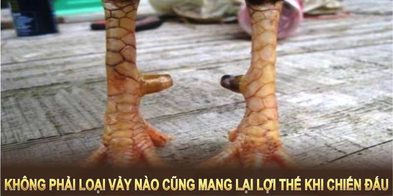 Không phải loại vảy nào cũng mang lại lợi thế trên sới đấu