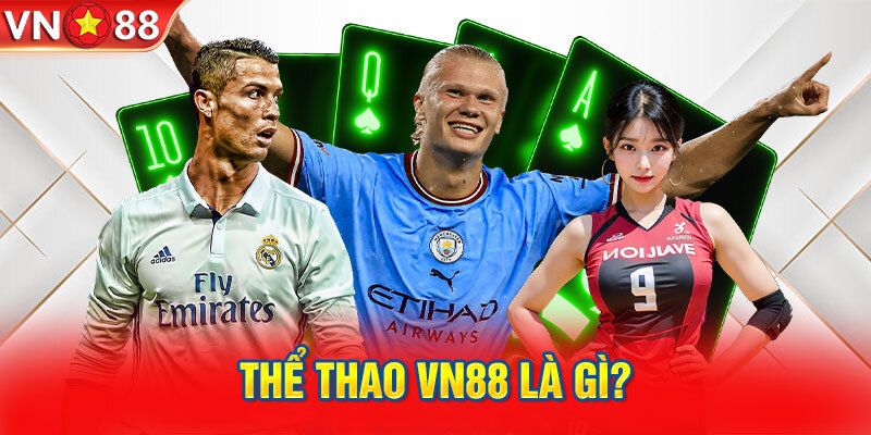 Giới thiệu tổng quan về sân chơi thể thao VN88