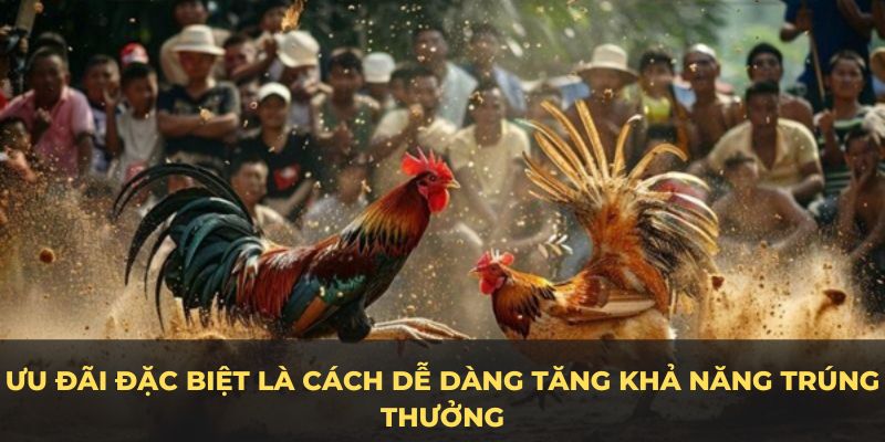 Ưu đãi đặc biệt là cách dễ dàng tăng khả năng trúng thưởng